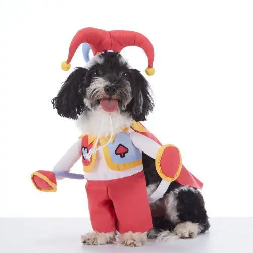 Pet Halloween Party Costume with Hat