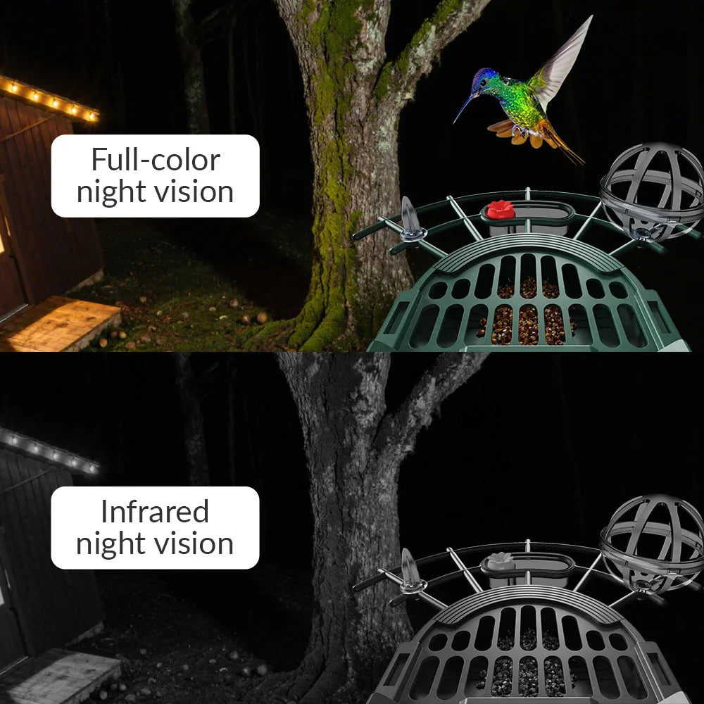 XVIM 3MP WiFi Automatic Smart Bird Feeder Motion Detection Color Night Vision Device  iCSee App Control Sunlight Wildlife Camera