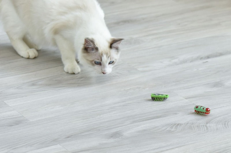 Cat Toys Luminescence Electric Worms Pet Interactions Insects Beetle Micro Worms Automatic Flipping Obstacle Avoidance Plaything