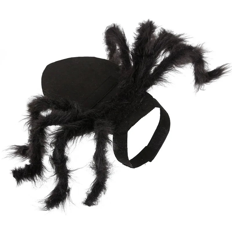Cat Dog Halloween Bat Wings Costume