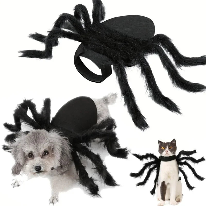 Cat Dog Halloween Bat Wings Costume