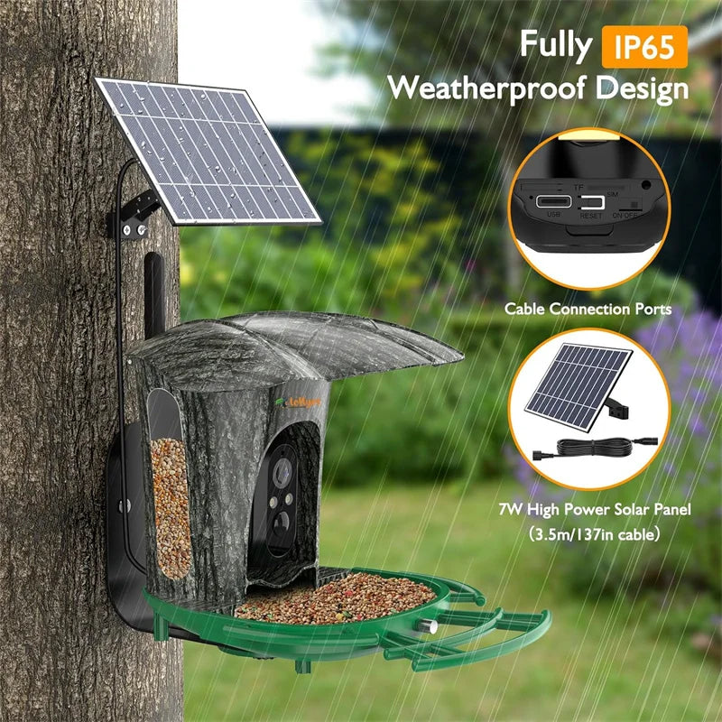 Smart Bird Feeder Camera