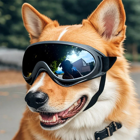 Dog Glasses Adjustable Outdoor Pet Sunglasses for Small Large Dogs Anti-UV Windproof Dog Goggles Pet Eyewear Eye Protection