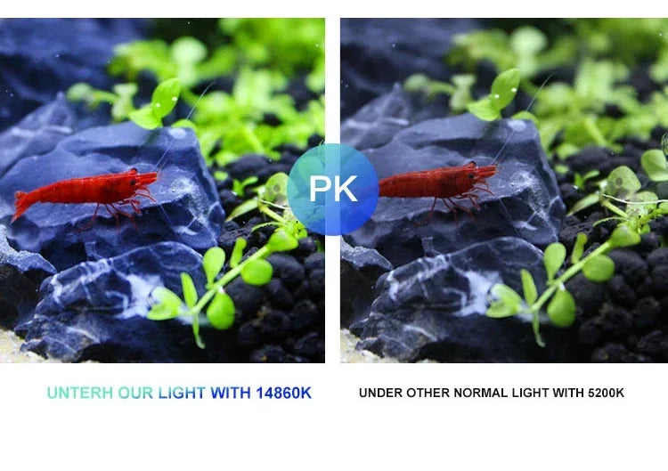 Aquatic Plant Lighting Waterproof Clip-on Lamp For Fish Tank Plants Grow Light