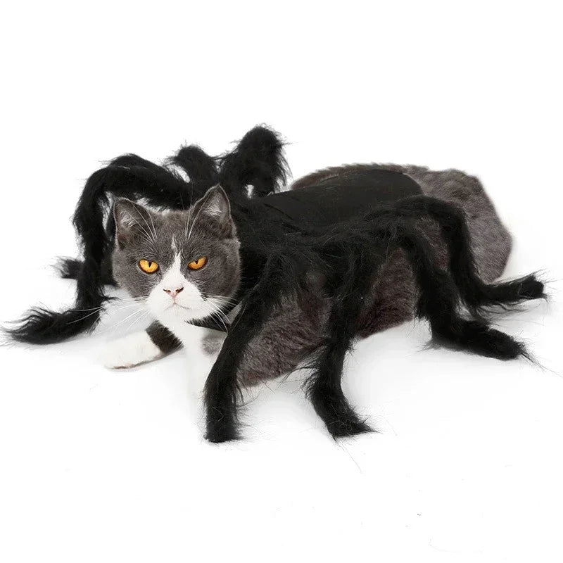Funny Halloween Pet Spider Outfit