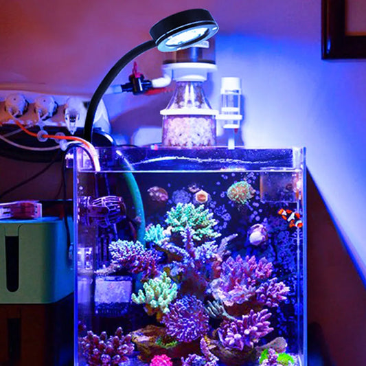 Marine Aquarium LED Light Marine Reef Tank For Coral