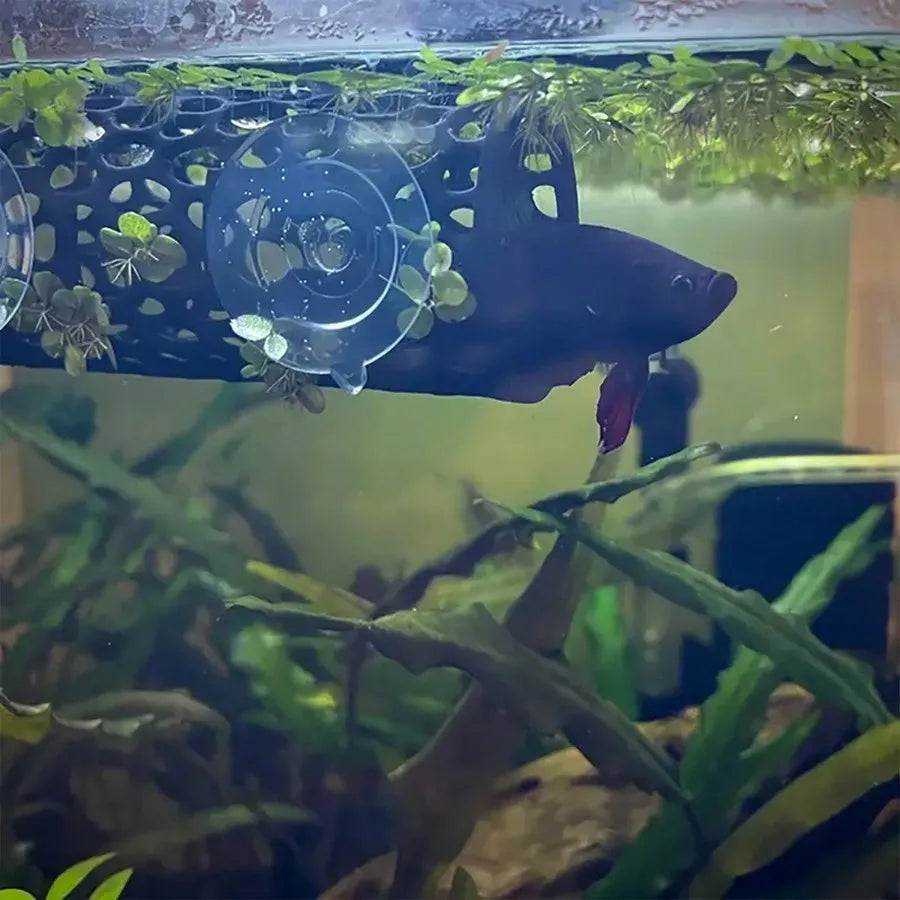 Aquarium Fish Hideout Black Hollow Tube with Suction Cup for Betta and Small Fish Tank Decoration