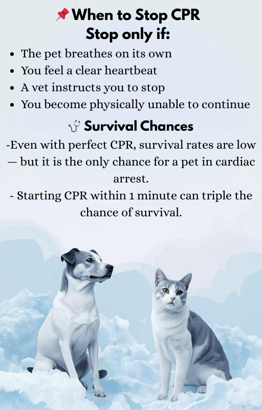 Pet emergency survival guide