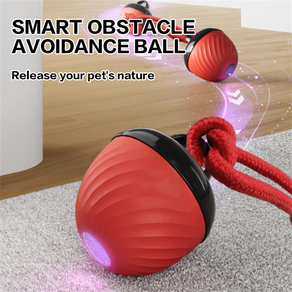 Automatic Moving Ball for Dogs – Interactive, Rechargeable Puppy Toy