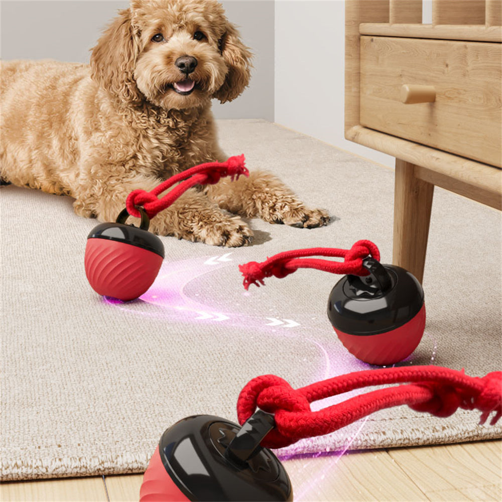 Automatic Moving Ball for Dogs – Interactive, Rechargeable Puppy Toy
