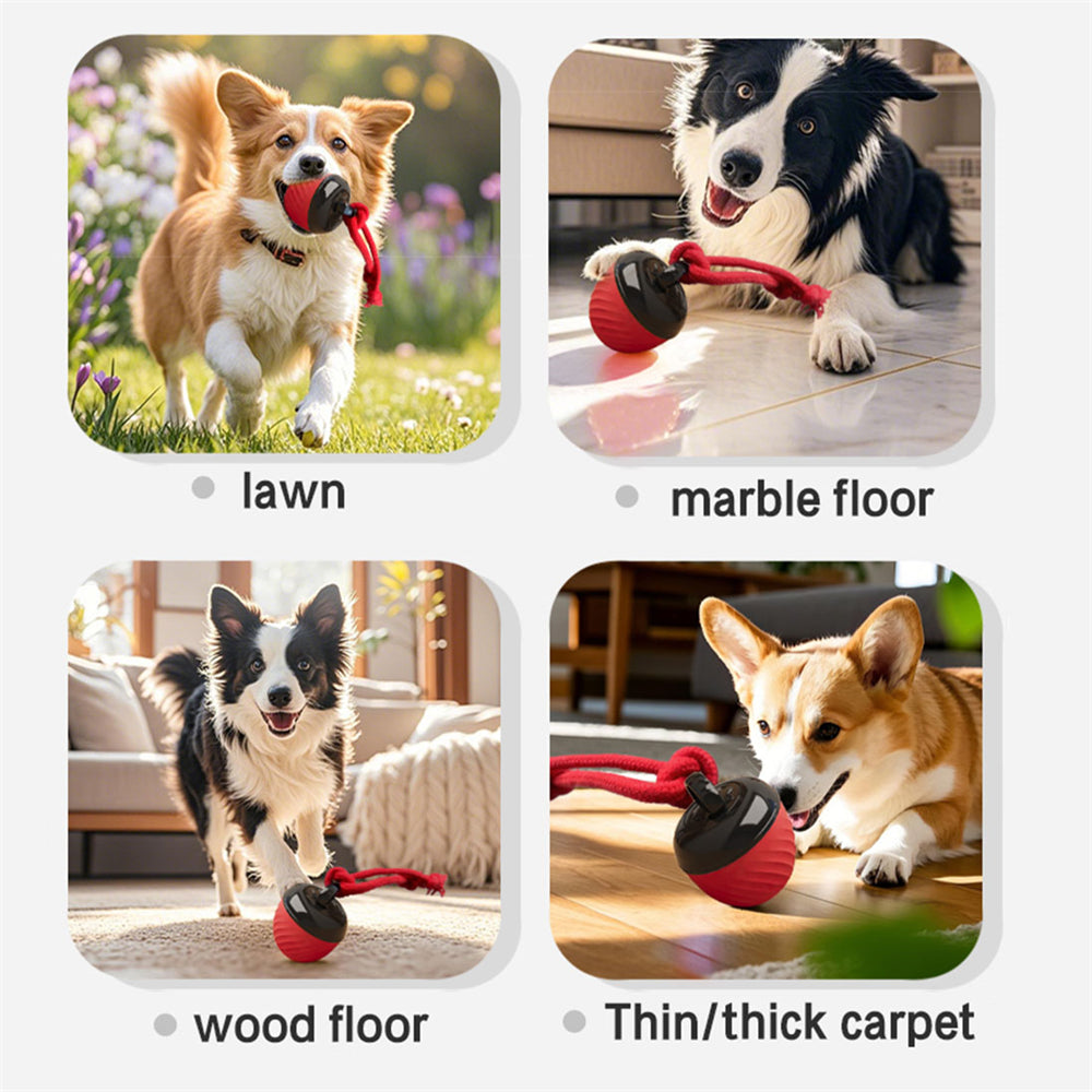 Automatic Moving Ball for Dogs – Interactive, Rechargeable Puppy Toy