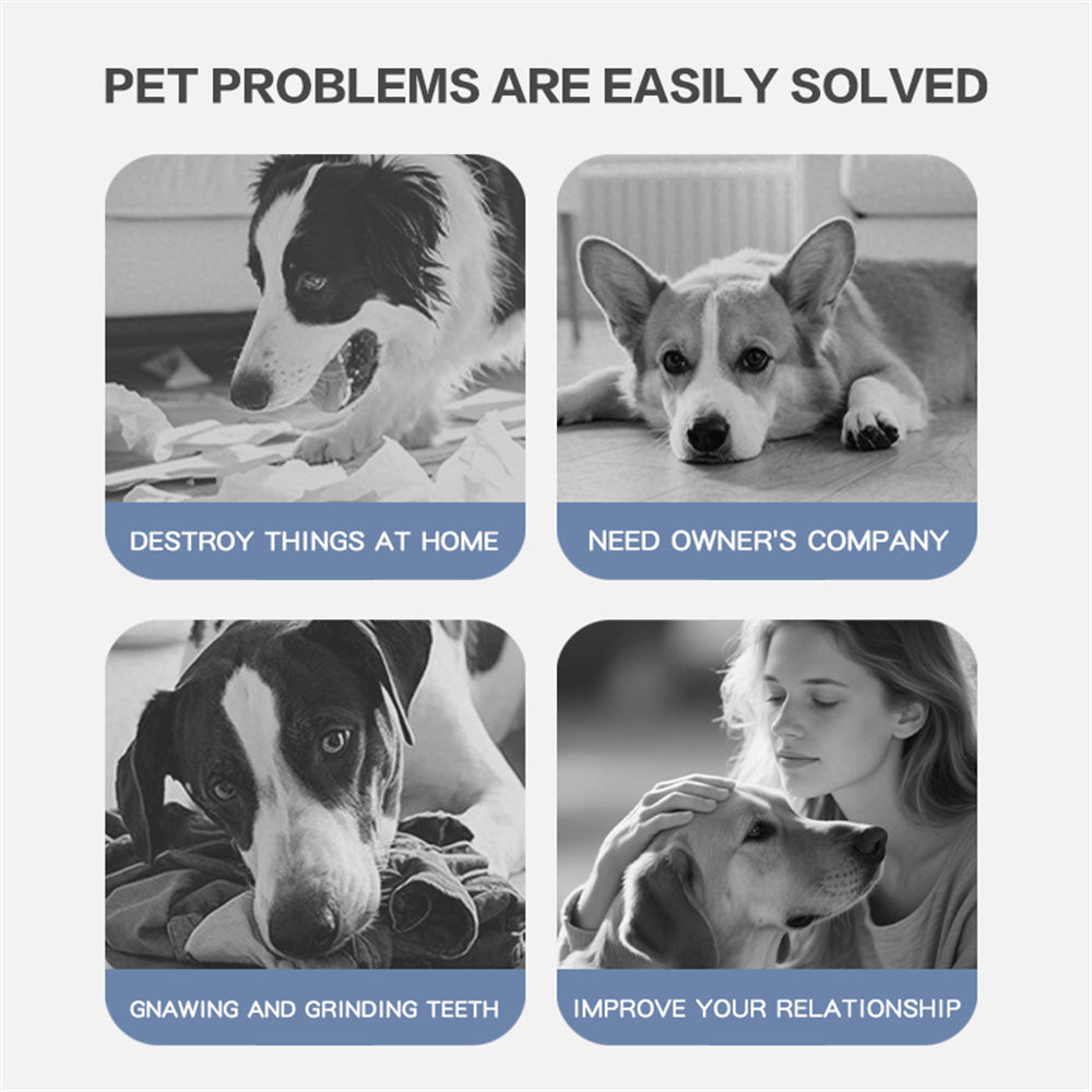 Automatic Moving Ball for Dogs – Interactive, Rechargeable Puppy Toy