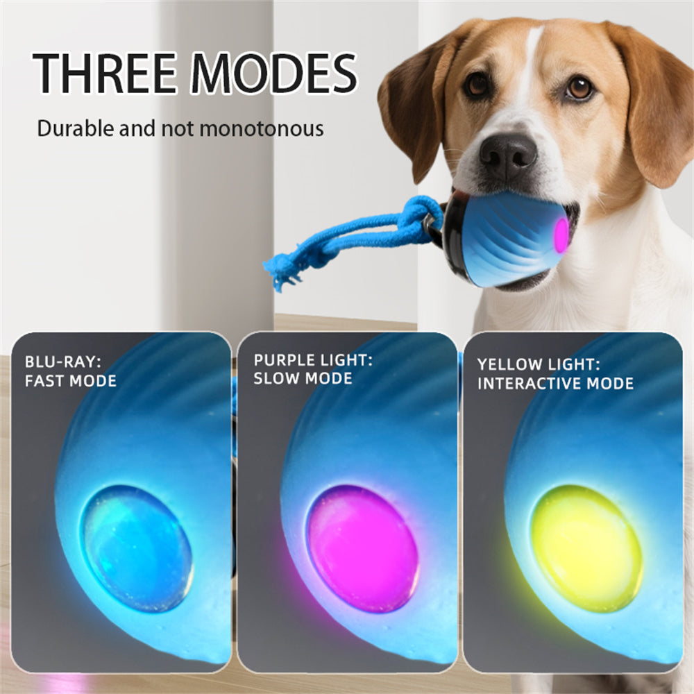 Automatic Moving Ball for Dogs – Interactive, Rechargeable Puppy Toy