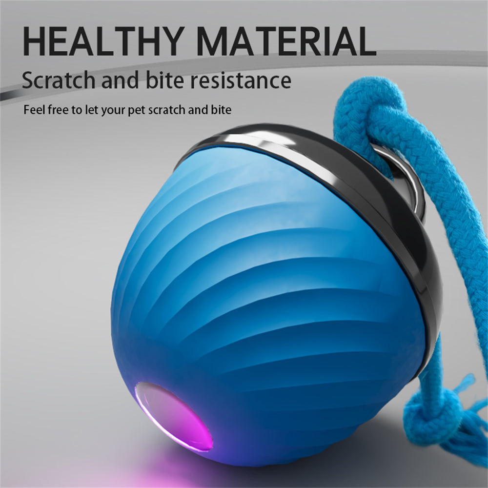 Automatic Moving Ball for Dogs – Interactive, Rechargeable Puppy Toy