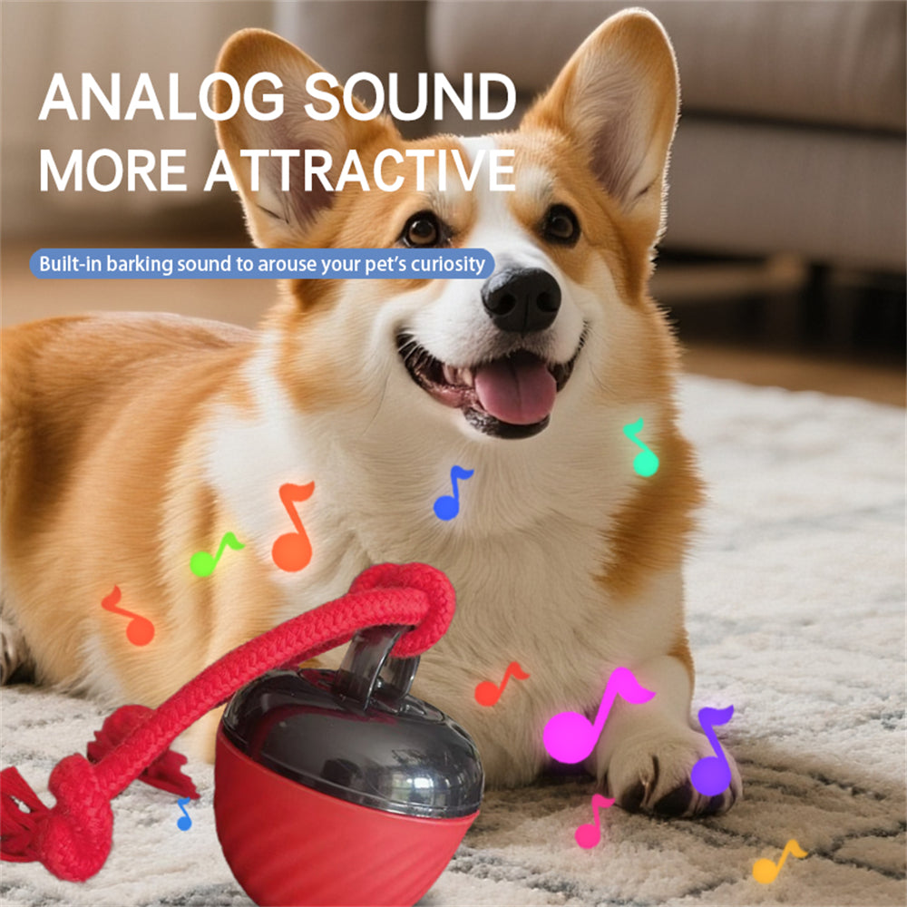 Automatic Moving Ball for Dogs – Interactive, Rechargeable Puppy Toy