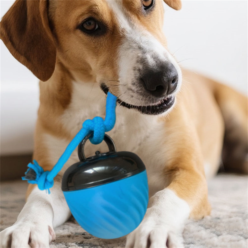 Automatic Moving Ball for Dogs – Interactive, Rechargeable Puppy Toy