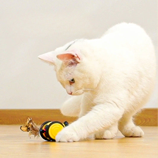 Electric Cat Car Toy Cute Bee Running Kitten