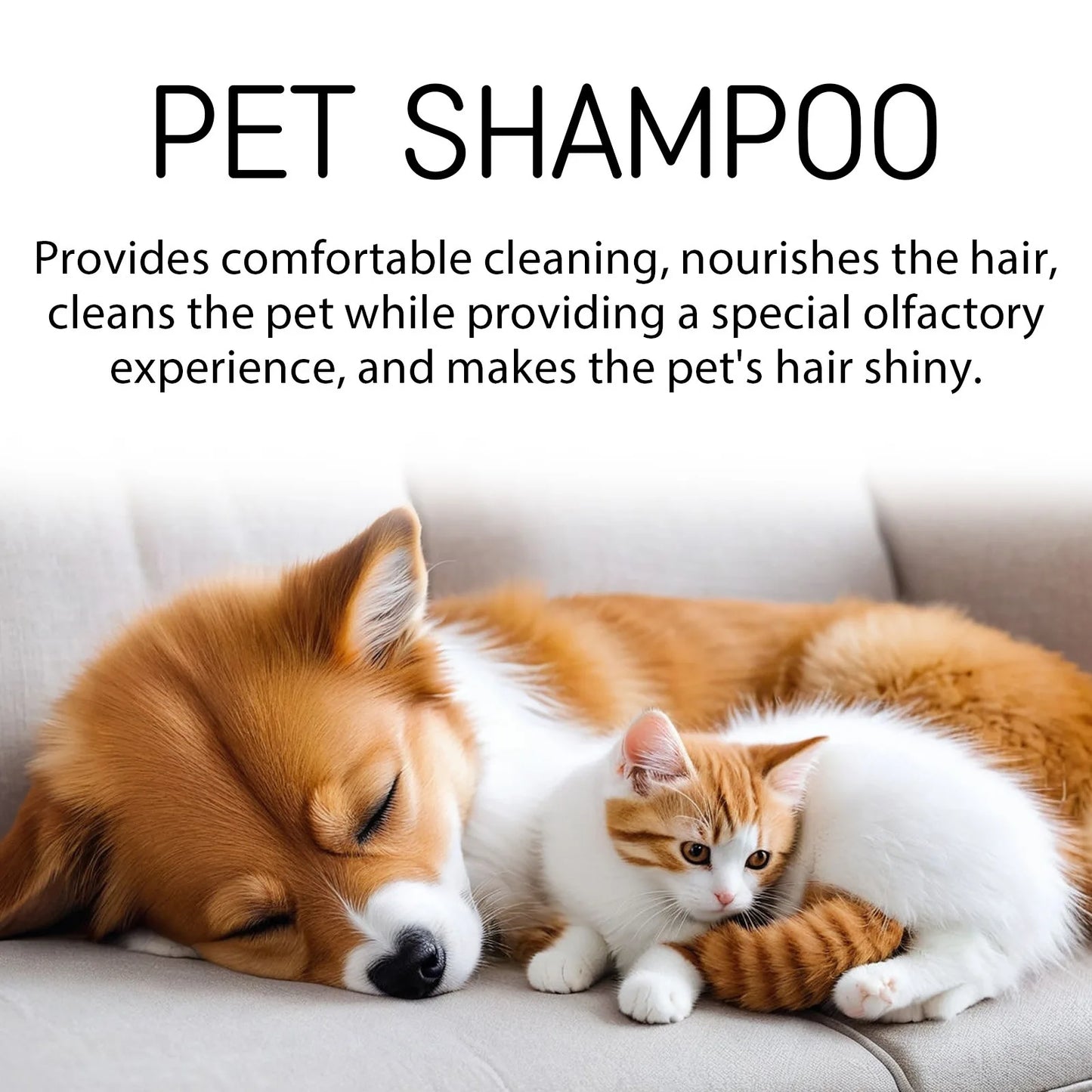 Pet Wash Dog Shampoo – Hair Softening, Flea & Mite Removal, Deodorizing & Anti-Itch Care