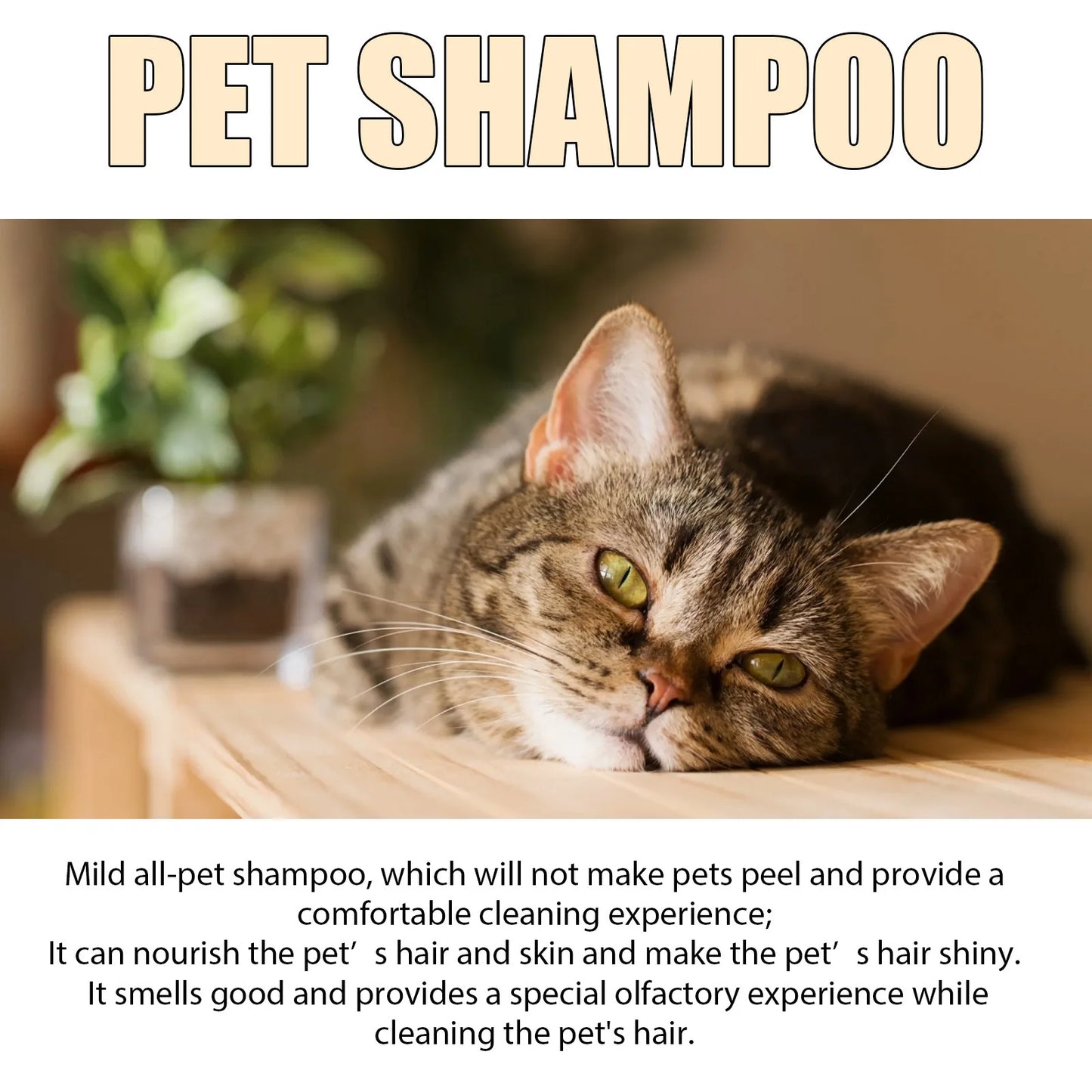 Pet Wash Dog Shampoo – Hair Softening, Flea & Mite Removal, Deodorizing & Anti-Itch Care
