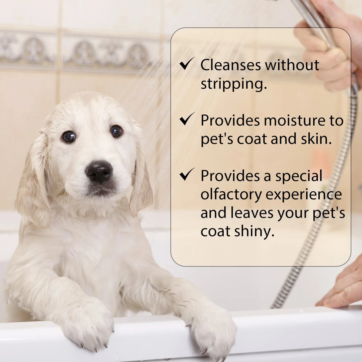 Pet Wash Dog Shampoo – Hair Softening, Flea & Mite Removal, Deodorizing & Anti-Itch Care