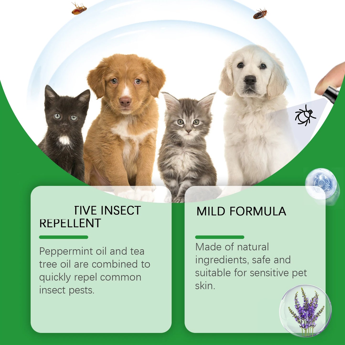 Yegbong Pet Insect Repellent Spray – Daily Cleaning, Anti-Mite & Flea Relief, Promote Healthy Skin for Dogs & Cats