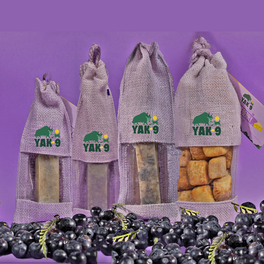 Blueberry Cheese Chews for Dogs