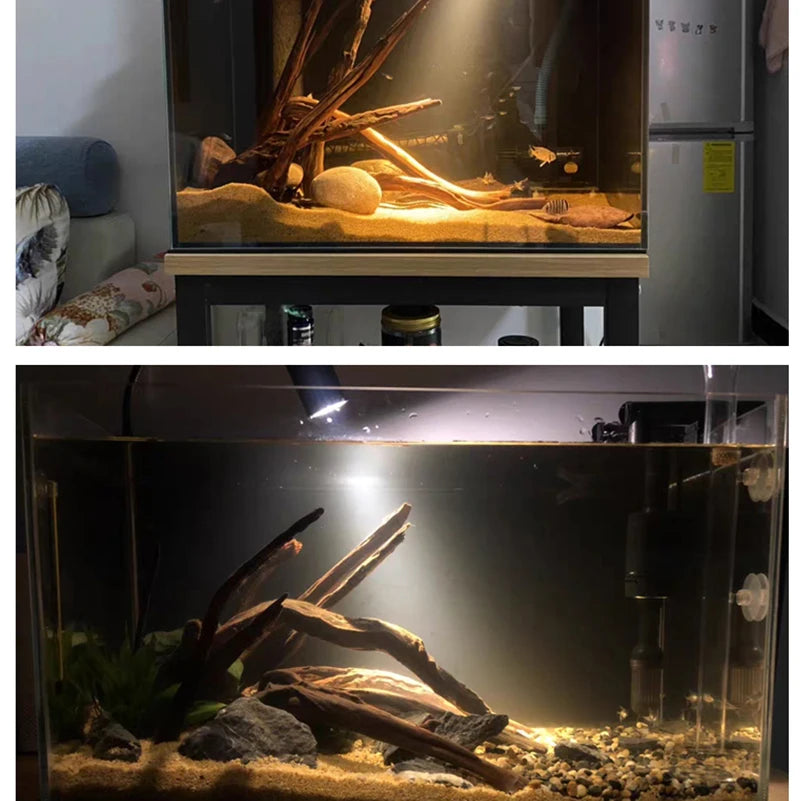 Remote Control Dimmable Lamp Turtle Reptiles