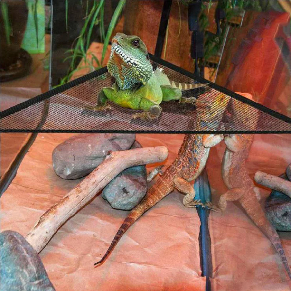 Bearded Dragon Reptile Hammock – Hanging Lounger & Ladder for Lizard Terrariums