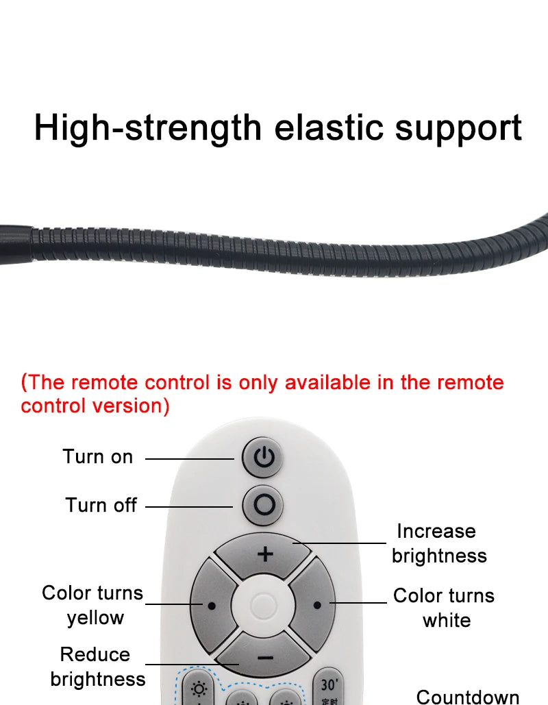 Remote Control Dimmable Lamp Turtle Reptiles
