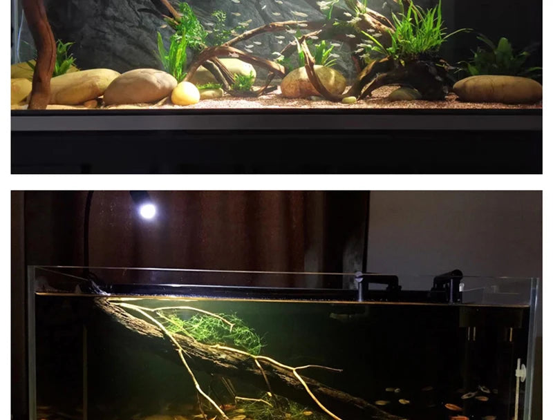 Remote Control Dimmable Lamp Turtle Reptiles