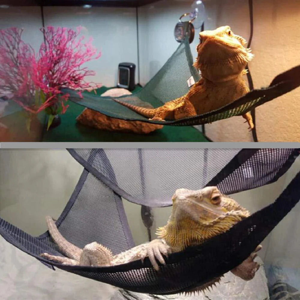 Bearded Dragon Reptile Hammock – Hanging Lounger & Ladder for Lizard Terrariums