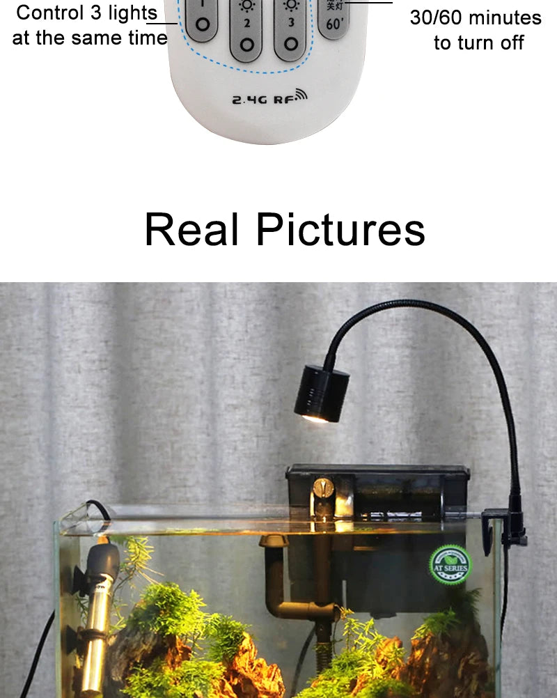 Remote Control Dimmable Lamp Turtle Reptiles