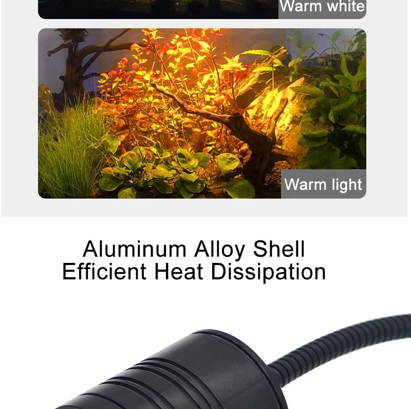 Remote Control Dimmable Lamp Turtle Reptiles