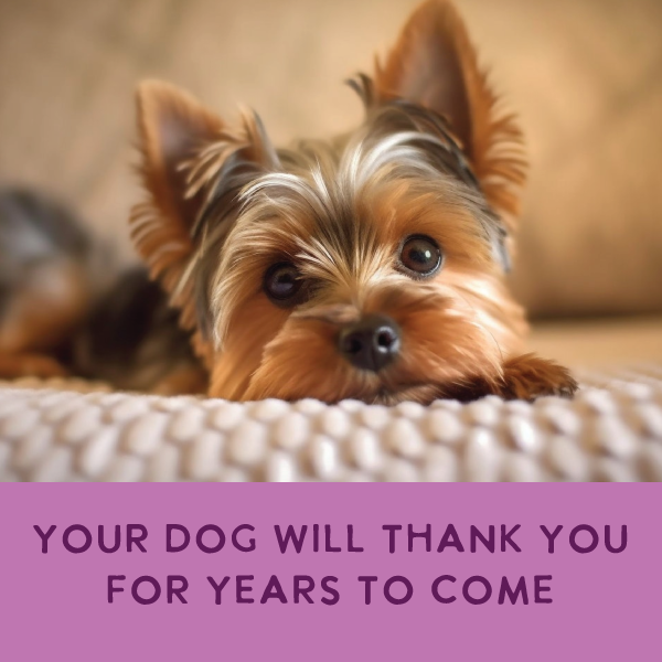 Gently Cooked 3oz Variety Pack