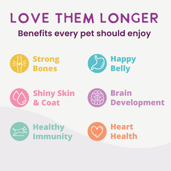 Gently Cooked 3oz Variety Pack