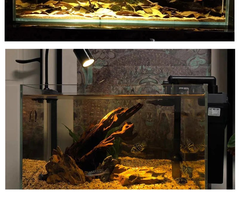 Remote Control Dimmable Lamp Turtle Reptiles