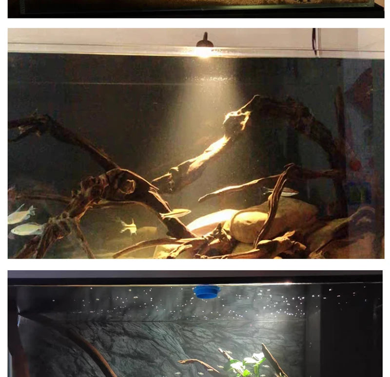 Remote Control Dimmable Lamp Turtle Reptiles
