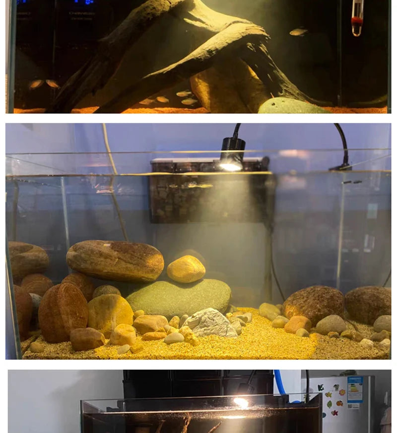 Remote Control Dimmable Lamp Turtle Reptiles