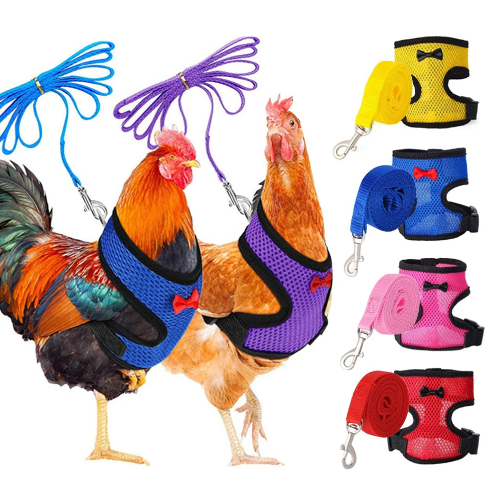 Chicken & Duck Vest Harness – Breathable Mesh Pet Belt with Bow, Collar & Leash