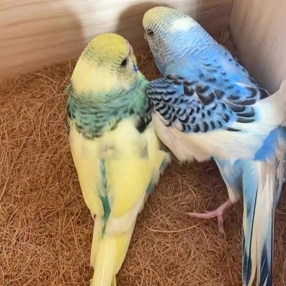 Coconut Fiber Terrarium Liner – Natural Coir Mat for Turtles, Tortoises, Lizards & Snakes