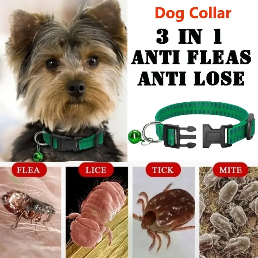 Effective Outdoor Insecticidal Dog Collar – Anti-Flea, Tick, Mite & Mosquito Protection Safety Neck Strap