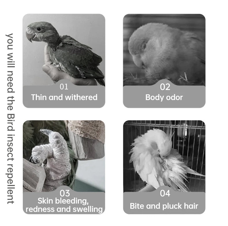 Bird insect repellent 100ml parrot supplies in addition to feather lice mites sterilization in vitro insect spray starling thrus