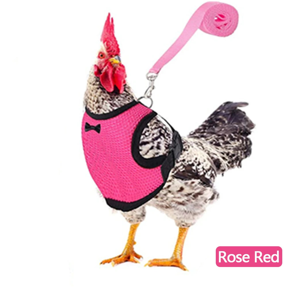 Chicken & Duck Vest Harness – Breathable Mesh Pet Belt with Bow, Collar & Leash