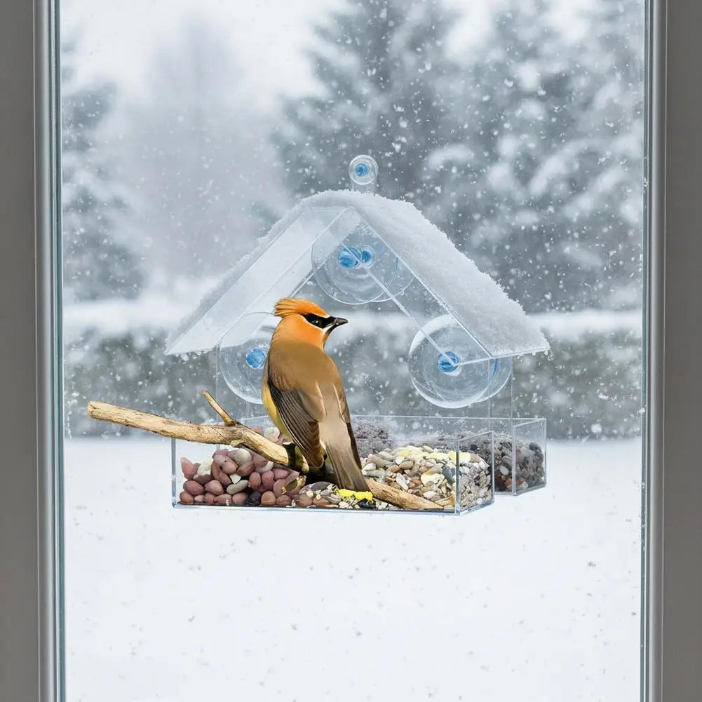 Outdoor Window Bird Feeder – Transparent Suction Cup Feeder for Garden & Balcony