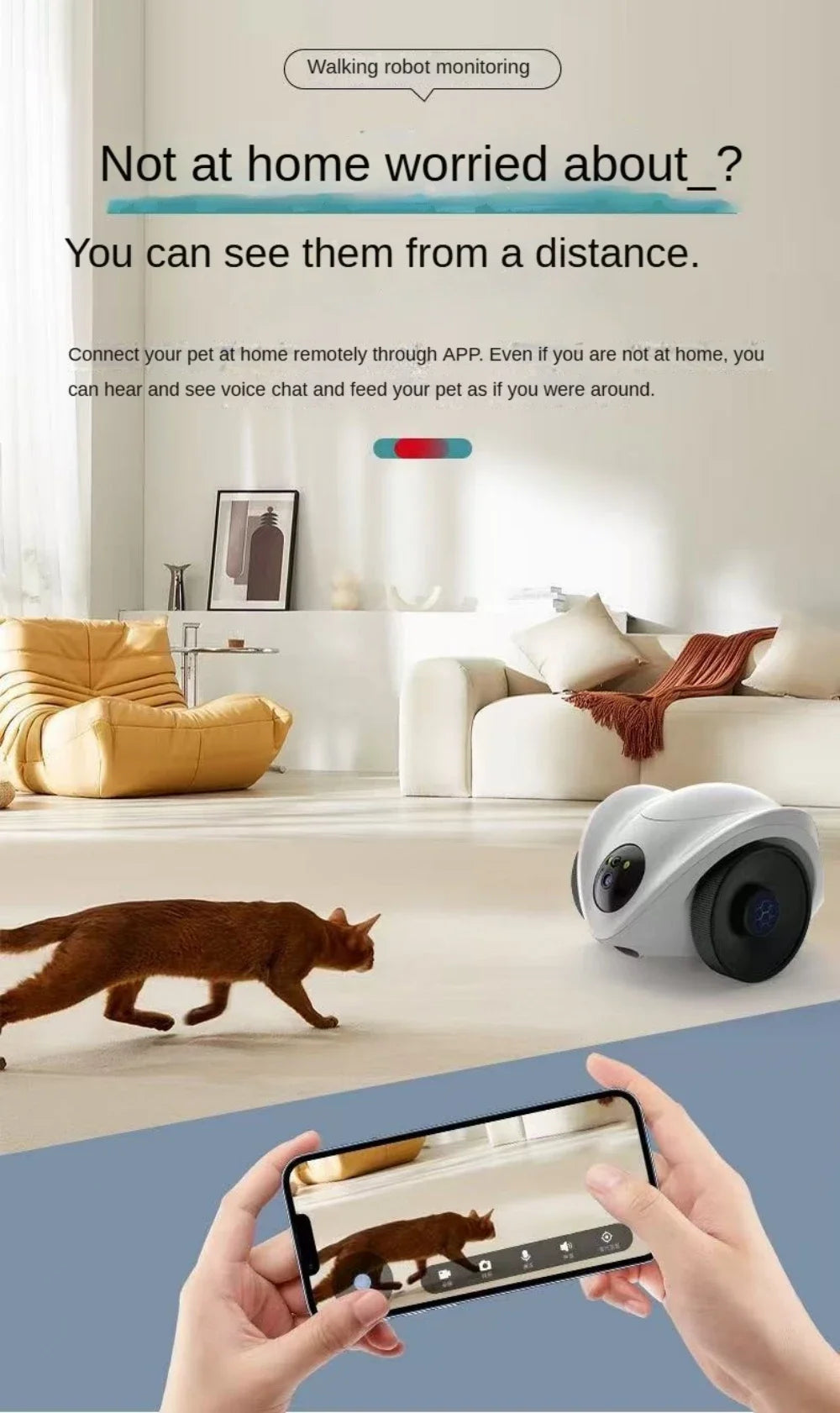 Pethiphop Smart 360° Pet Treat Dispenser Camera