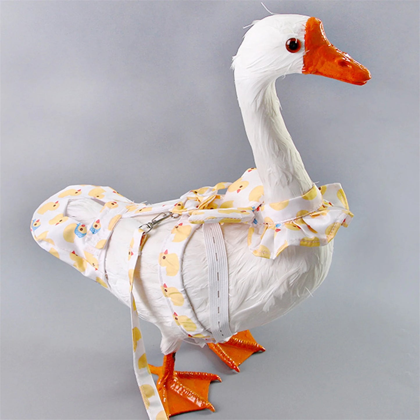 Pet Goose, Chicken & Duck Harness with Diaper Set – 2 Pieces with Adjustable Leash