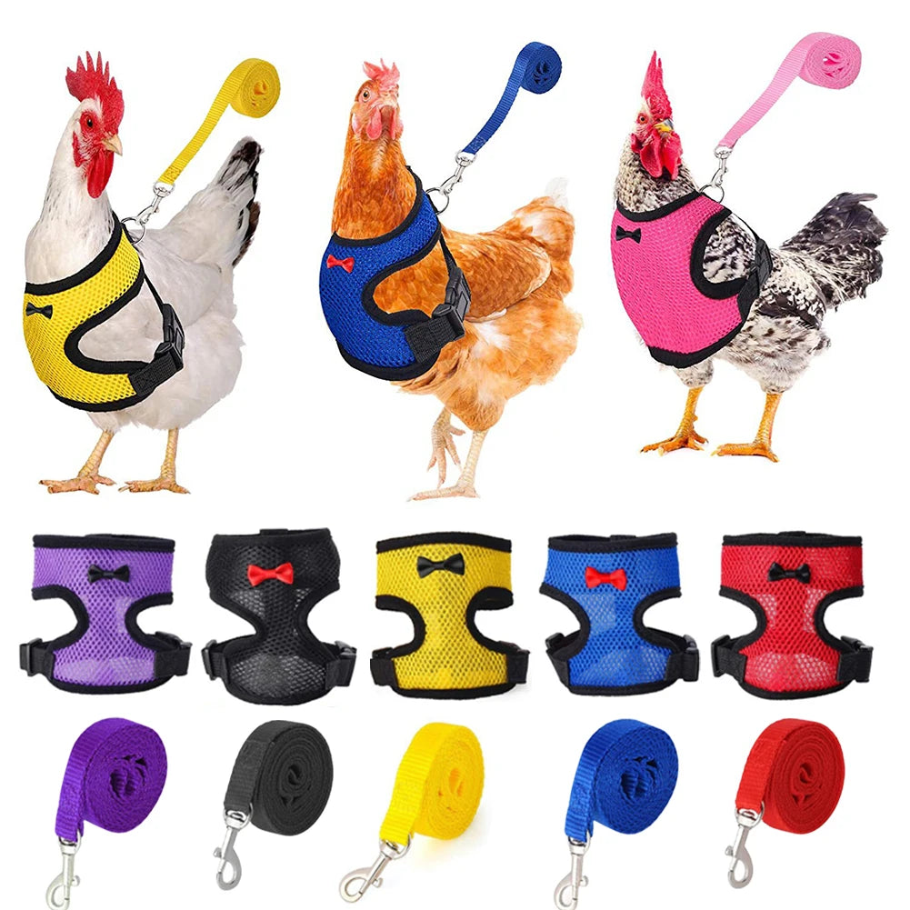 Chicken & Duck Vest Harness – Breathable Mesh Pet Belt with Bow, Collar & Leash
