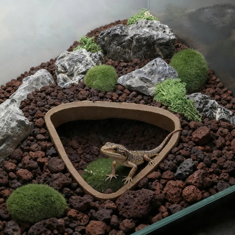 3D Reptile Cave Hideout – Underground Shelter for Lizards, Turtles & Spiders