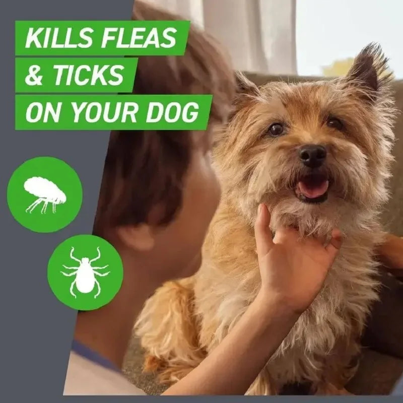Pet Flea & Tick Repellent Drops – Kill Fleas, Ticks & Mites, Safe for Cats & Dogs