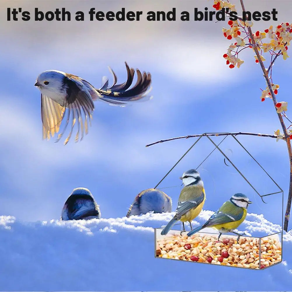 Outdoor Window Bird Feeder – Transparent Suction Cup Feeder for Garden & Balcony